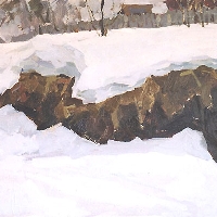 Gully In Winter By the Village