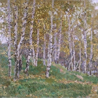 Birch Wood in Autumn